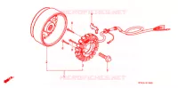 ALTERNATEUR pour Honda XR 250 L de 1995