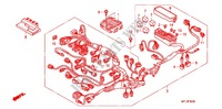 FAISCEAU DES FILS (CBR1000RR) pour Honda CBR 1000 RR FIREBLADE TRICOLOUR de 2011