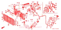 RADIATEUR pour Honda CB 599 HORNET BLACK de 2006