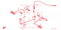 SELECTEUR   PEDALE DE FREIN pour Honda CB 599 HORNET BLACK de 2006