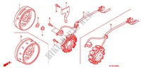 ALTERNATEUR pour Honda CBF 125 M STUNNER Front brake disk de 2010