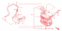 RADIATEUR pour Honda 50 JAZZ de 2002
