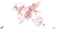 ALTERNATEUR (CRF100F) pour Honda CRF 100 de 2012