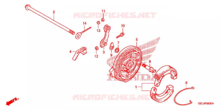 FLASQUE - MACHOIRES DE FREIN ARRIERE Honda MOTO 50 CRF 2008  CRF50F8