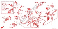 FAISCEAU DES FILS pour Honda BENLY 50 PRO de 2012
