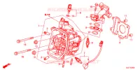 CULASSE pour Honda BENLY 50 PRO de 2017