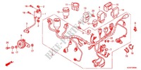 FAISCEAU DES FILS pour Honda SUPER CUB 110 PRO de 2012