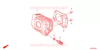 CYLINDRE pour Honda SUPER CUB 50 スーパーカブ de 2016