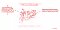 AUTOCOLLANTS pour Honda RUCKUS 50 WHITE de 2006