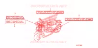 AUTOCOLLANTS pour Honda RUCKUS 50 BLACK de 2008