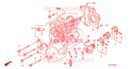 CULASSE pour Honda RUCKUS 50 RED de 2009