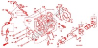 CULASSE pour Honda ZOOMER 50 de 2012