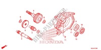 BOITE DE VITESSES pour Honda RUCKUS 50 de 2016