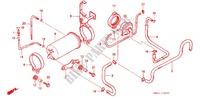 SYSTÈME DE RECYCLAGE DES GAZ (AC) pour Honda NX 250 de 1988