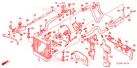 RADIATEUR pour Honda BIG RUCKUS 250 de 2005