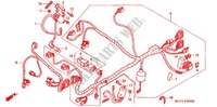 FAISCEAU DES FILS (AVANT) pour Honda RVT 1000 R RC51 de 2002