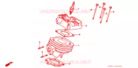 CYLINDRE pour Honda SB 50 ELITE E de 1990