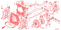 RADIATEUR pour Honda FOURTRAX 420 RANCHER 4X4 AT PS de 2014