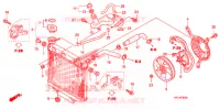 RADIATEUR pour Honda TRX 450 R SPORTRAX Electric Start WHITE de 2009