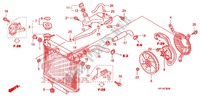 RADIATEUR pour Honda TRX 450 R SPORTRAX Electric Start RED de 2013