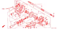 COUPLE CONIQUE pour Honda FOURTRAX 450 FOREMAN 4X4 Electric Shift de 2004