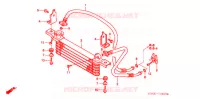 RADIATEUR D'HUILE pour Honda FOURTRAX 450 FOREMAN 4X4 Electric Shift de 2004