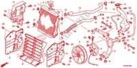RADIATEUR pour Honda FOURTRAX 500 FOREMAN 4X4 Power Steering, CAMO de 2014