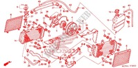 RADIATEUR pour Honda VFR 800 INTERCEPTOR ABS WHITE de 2009