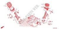 VILEBREQUIN pour Honda SHADOW VT 750 SPIRIT ABS de 2013