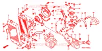 RADIATEUR pour Honda SHADOW VT 750 DELUXE 2 TONES de 2000