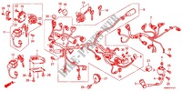 FAISCEAU DES FILS (WW125EX2C,D,E) pour Honda PCX 125 SPECIAL EDITION WHITE de 2013
