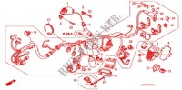 FAISCEAU DES FILS (XZ508/9) pour Honda APE 50 DELUXE SPECIAL CB750-68 de 2008