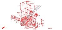 COUVRE CULASSE pour Honda XR 650 L de 2012