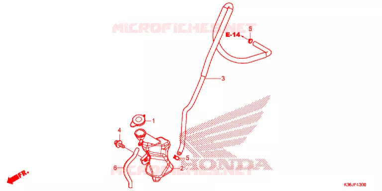 VASE D'EXPANSION Honda SCOOTER 150 PCX 2018  WW150EXJ