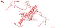 SYSTÈME DE RECYCLAGE DES GAZ (MSX125H/J KO) pour Honda MSX 125 de 2017