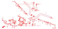 GUIDON pour Honda 50 CROSS CUB de 2019