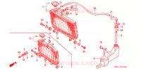RADIATEUR pour Honda NS 50 F BLUE de 1988