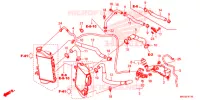FLEXIBLE DE RADIATEUR/TUYAU D'EAU pour Honda AFRICA TWIN 1000 RALLY RED de 2019