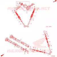 ARBRE A CAMES   SOUPAPE pour Honda FUSION 250 X Color order plan de 2003