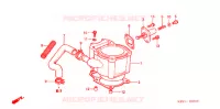 CYLINDRE pour Honda FUSION 250 X Color order plan- SPECIAL de 2003