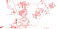 CYLINDRE   CULASSE pour Honda CRM 80 de 1988