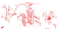 RADIATEUR (1) pour Honda CRM 80 de 1988
