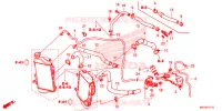 FLEXIBLE DE RADIATEUR/TUYAU D'EAU pour Honda AFRICA TWIN 1000 ADVENTURE de 2019