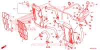 RADIATEUR pour Honda CRF 250 X de 2019