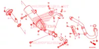 SILENCIEUX D'ECHAPPEMENT pour Honda CRF 250 X de 2019