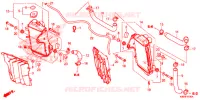 RADIATEUR pour Honda CRF 250 RX de 2020