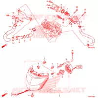 THERMOSTAT pour Honda CBR 1000 RR SP2 de 2017