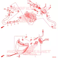 THERMOSTAT pour Honda CBR 1000 BLACK de 2019