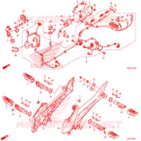 FAISCEAU DES FILS pour Honda ZOOMER 110 X de 2016