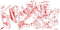 RADIATEUR (VT750C2B/C2S/CS/C/CA) pour Honda SHADOW VT 750 SPIRIT S de 2011